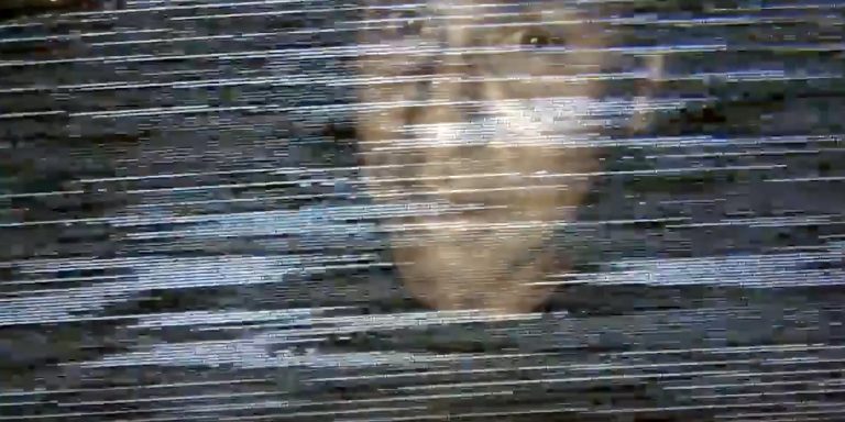 picture of alan netnar but image is distorted with static