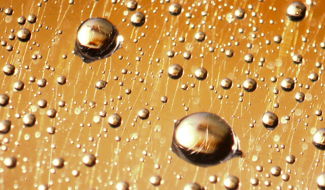 gold colored water drops