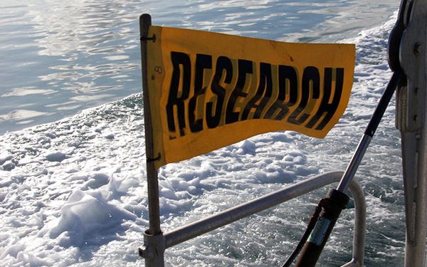 yellow research flag